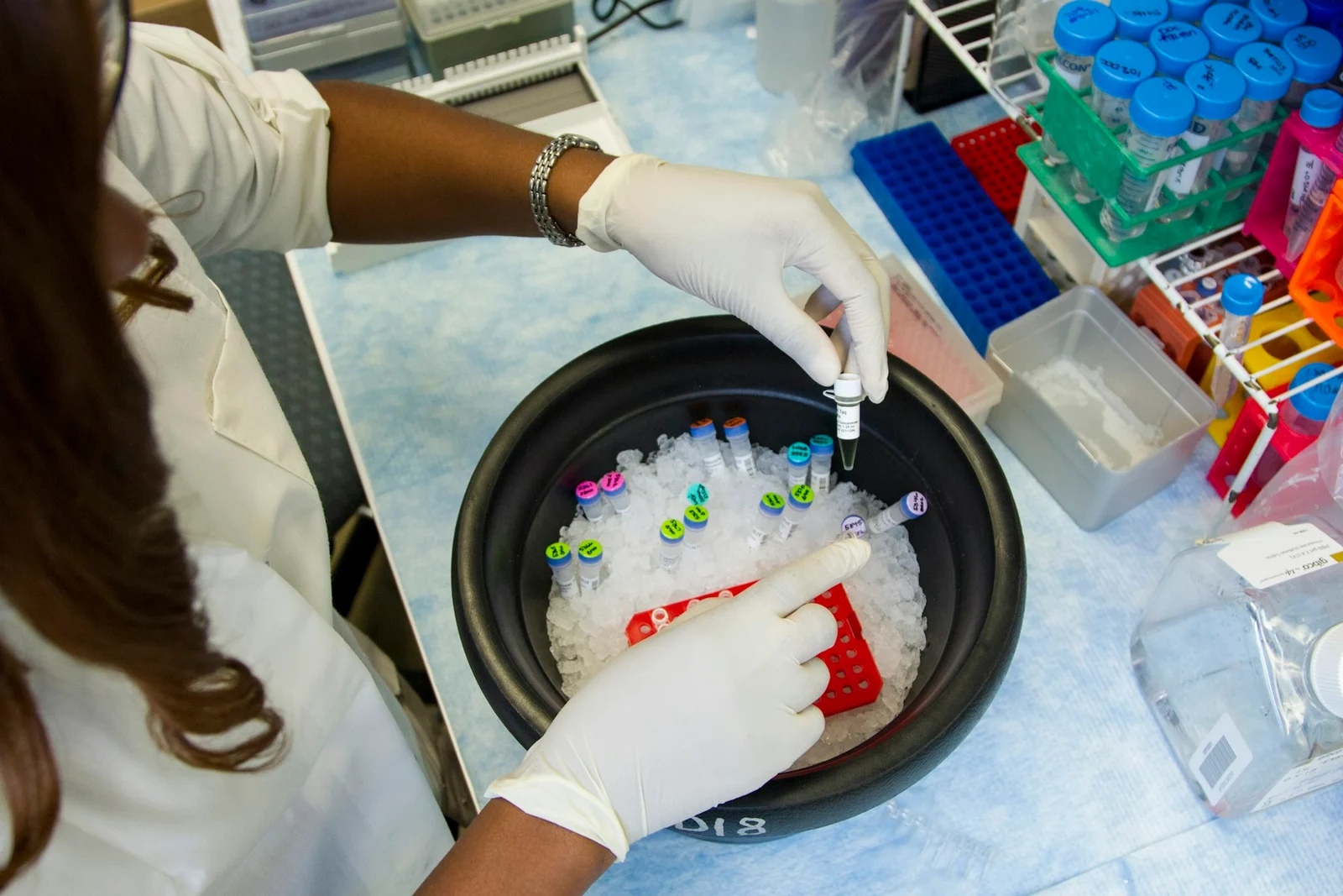 A researcher wearing gloves handles sample tubes at a laboratory workbench
